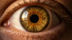 Perché il colore degli occhi cambia con la luce: spiegazione semplice tra melanina e riflessi