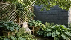 Orto in ombra: cosa coltivare con poche ore di sole (senza delusioni)